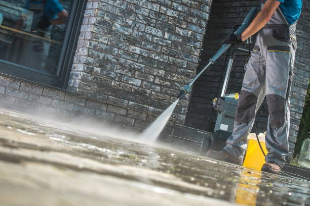 Animal Enclosure Cleaning in Solon, OH